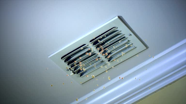 Best Residential Air Duct Cleaning  in Mayville, WI