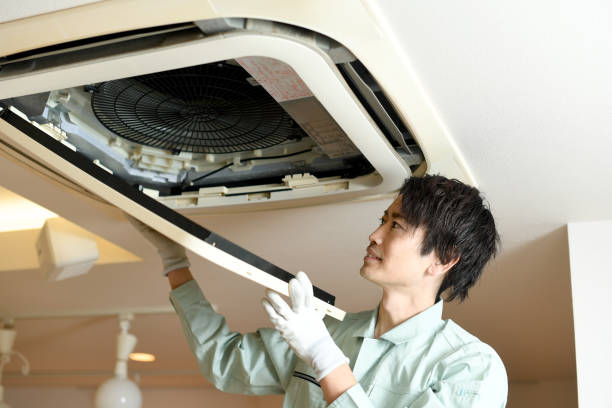 Best Affordable Duct Cleaning Services  in Mayville, WI